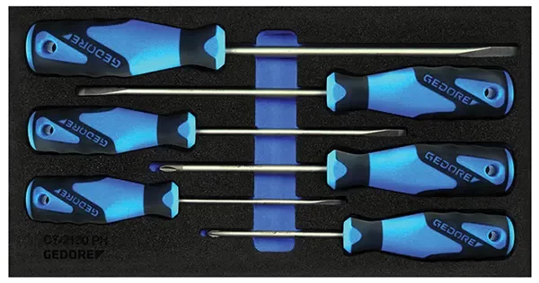 GEDORE-H Screwdriver In Check Tool Module (1500CT1-2150PH): For Slotted And Cross-Head Screws Ph