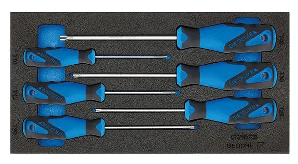 GEDORE-Screwdriver In Check Tool Module (1500 CT1-2163TXB): 0