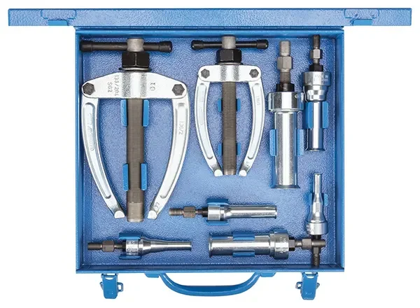 GEDORE-Internal Extractor Set
